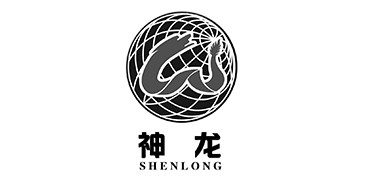 神龍集團戰(zhàn)略